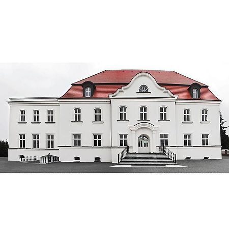 Palazzo Adler Bed & Breakfast Swarzedz Luaran gambar